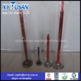 Intake/ Exhaust Valve for Russian Marine Engine