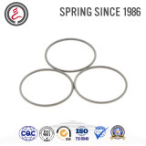 Customed Oil Seal Springs for Different Sealing Elements
