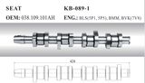 Auto Camshaft for Seat and Skoda (028.109.101ah)