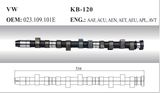 Auto Camshaft for VW (023.109.101e)