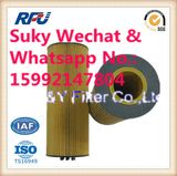 E500HD129 Oil Filter Auto Parts for Benz in Truck (5411800009, E500HD129)