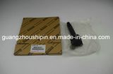 Ignition Part Wholesale Ignition Coil 19070-B1011 for Toyota