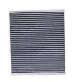 Cabin Filter for Regal/Lecrosse of GM