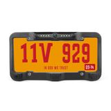 Us License Plate Parking Sensor with IR Light Camera