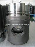 Piston Cw250