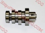 Motorcycle Part Camshaft for CB125ace Best Camshaft
