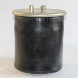 Air Spring Air Suspension Air Bag 4912np07&W01-M58-8786