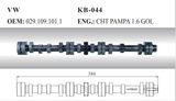 Auto Camshaft for VW (029.109.101.1)