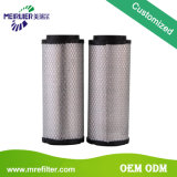 Chinese Manufacturer Heavy Duty Auto Fuel Filter (AF26659)
