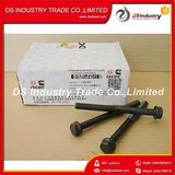 Truck Original Engine Parts 3927063 Cylinder Head Bolt
