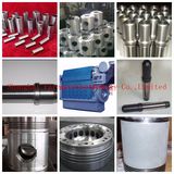 Man Piston Pin for L28/32 L27/38 L32/40 L32/40b Engine Parts