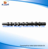 Auto Parts Camshaft for Renault K4m Int/Exh 8200100527 8200100528