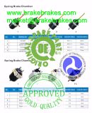 Eurotek/Roadtech Disc Spring Brake Chamber T30/30dp, T24/30dp, T24/24dp, T20/24dp, T16/24dp