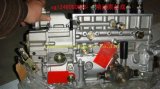 Sinotruk D12 Engine Fuel Injector Pump (VG1246080038)