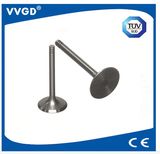 Auto Intake Valve for VW 048109601e