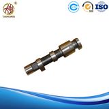 Camshaft for Diesel Engine Spare Parts