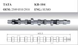 Auto Camshaft for Tata (2549 0510 2918)