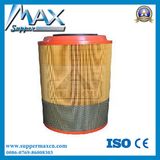 Air Filter Wg9725190102