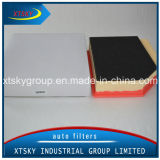 Hot Sale China Supplier Auto Parts Air Filter (C23129/30636833)