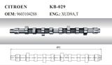 Auto Camshaft for Citroen FIAT (9603104288)
