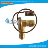 Copper Auto A/C Expansion Valve/Txv