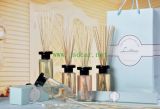 Fragrance Reed Diffuser/Aroma Reed Diffuser (JSD-K0002)