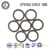 Oil Seal Springs for Car Sealing Elements