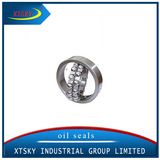 Xtsky Double Row Self-Aligning Ball Bearing (1311)