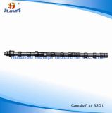 Diesel Engine Parts Camshaft for Isuzu 6SD1 1-12511249-1