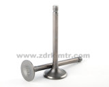 Motorcycle Spare Part Inlet and Exhaust Valve for Cg150 Motorcycle