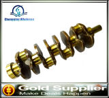 Spare Parts Crankshaft OEM 23110-4X000 0k551-11-301 for Hyundai J3 Engine