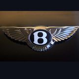 Custom Hot Sale LED Lighted Car Emblem Eagle