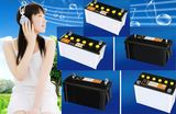 Sealed Lead Acid Dry Car Battery 12V75ah