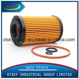 Auto Car Parts Oil Filter (6111800009)