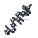 Professional Supply High Quality Original  Crankshaft for Hyundai D4bb	 D4ba D6br