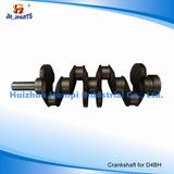 Auto Parts Crankshaft for Hyundai/Mitsubishi D4bh H100 4D56/4D56t 23111-42910
