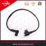 Professional Supplier Ignition Coil Assy for CPI Gtx50 Gtx125 CPI Parts