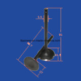 Motorcycle Valve Inlet/Exhaust Set for Cg200