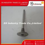 High Quality Dcec Nt855 Engine Spare Parts Intake Valve 135957
