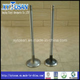 Intake and Exhaust Engine Valve for Alfa Gt V6