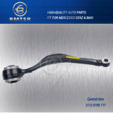Best Price Control Arm From Guangzhou China Fit for E53 OEM 31126769717