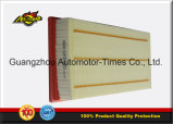 Standard Size Car Air Filter for L and R Over/P Orsche/a Udi OE No. 7L0129620 Phe500021 7p0129620