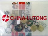 Fuel Injection Pump Rebuild Kit-Ve Diesel Pump Repair Kit