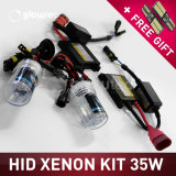 35W DC Xenon Headlight HID Kit Slim Ballast Bulbs H1 H3 H7 H8/9/11 9005 9006 All Colors 4300K 6000K 8000K 10000K 12000K Glowtec