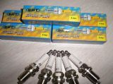 RC12yc Spark Plug with Customzied Brand and Package