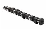 Diesel Engine Parts Camshaft 5283931 for Cummins