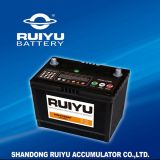 Small Types 12V Batteries for Cars