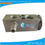 Auto A/C Expansion Valve/Txv