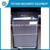 Sinotruk HOWO 25t Truck Radiator Wg9725530231