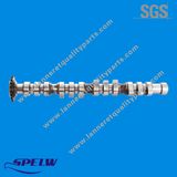 058109022D Camshaft for VW Passat/Audi A6 (INT)